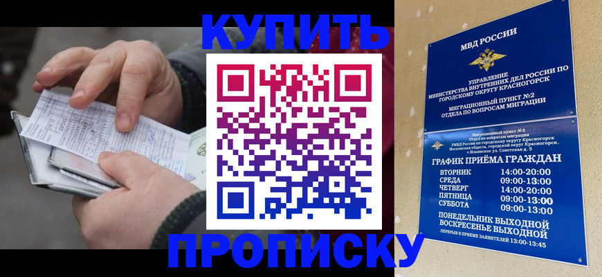 временная регистрация недорого в Калининграде